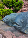7008 Fisch
