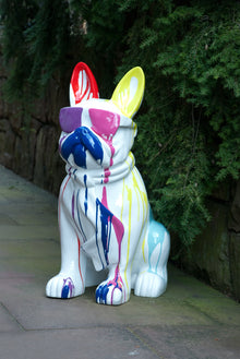  6035 Hund