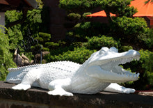  7153 Krokodil