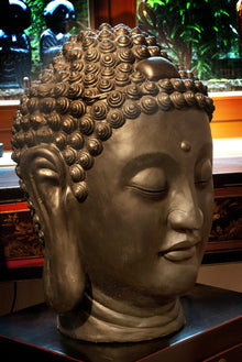  7911 Buddha